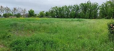 torpag satisi: 20 sot, Tikinti, Mülkiyyətçi, Kupça (Çıxarış) — 4