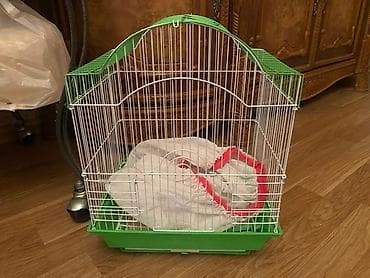 Ev quşları üçün nəzərdə tutulmuş bu qəfəs, yaşıl rəngli dam və əsas