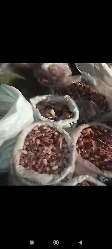 Süd məhsulları və yumurtalar: 0.20 qəpik kilosu itlər və pişiklər ücün yem itlər kücüklər kucuy it — 9