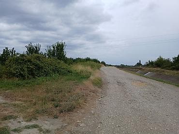 24 sot, Kənd təsərrüfatı, Mülkiyyətçi, Kupça (Çıxarış), Bələdiyyə