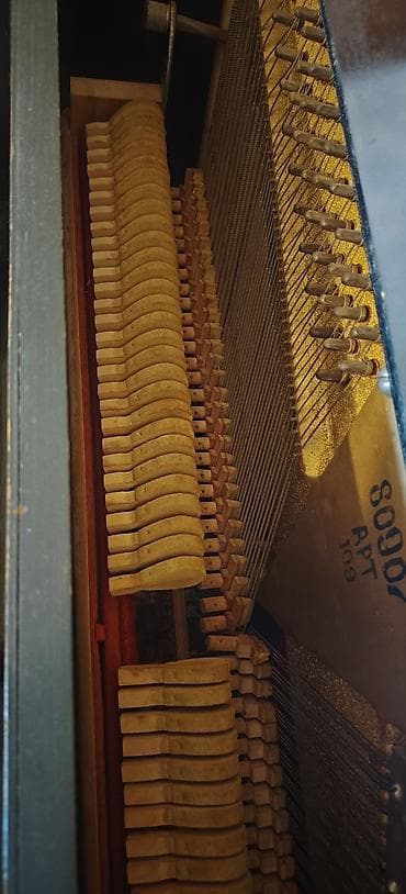 губной инструмент: Пианино, Беларусь, Акустический — 4