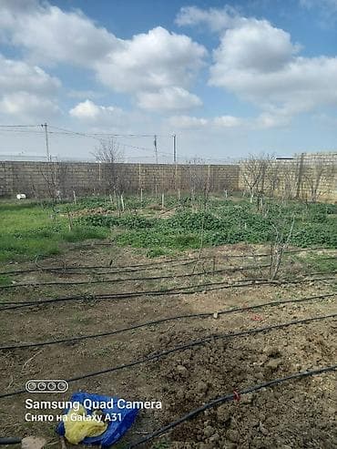 Mənzillər: Savalan 10 otaq, 250 kv. m, Kredit yoxdur, Orta təmir — 4