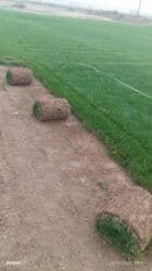 mx group inşaat: Kənd təsərrüfatı, Mülkiyyətçi — 22