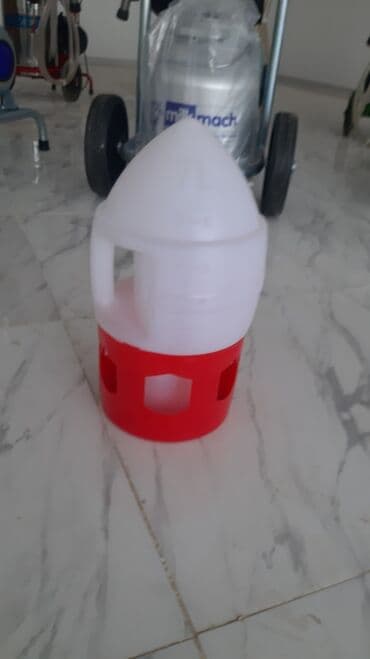 Su qabları 
Quşlar üşün