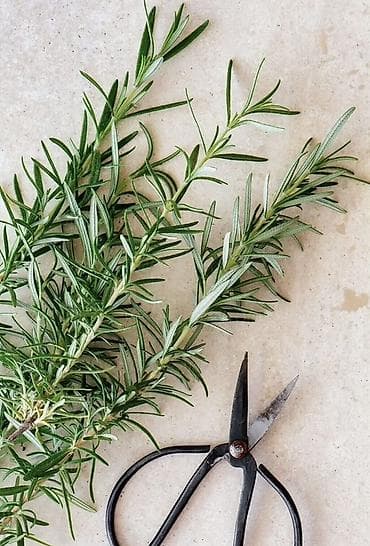 Saç spreyi, Saç tökülməsinə qarşı — 4