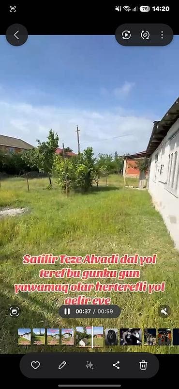 xirdalan kiraye heyet evler: Satılır: Masallı r., Təzə Alvadı kəndində satılıq həyət evi / torpaq — 2