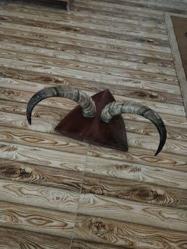 dana qiyməti siyəzən: Savetden qalma buynuz divardan asmaq üçün babamdan qalıb qiymet 250 — 4