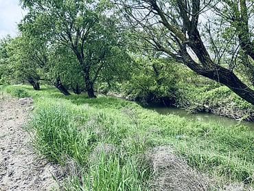 sumqayıt ev alqı satqısı 2018: Для сельского хозяйства, Купчая — 9