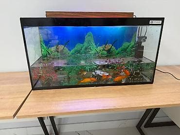 Akvariumlar: Akvarium seti – Artvarium markalı - Şüşə çərçivəli aypara formalı ön — 3