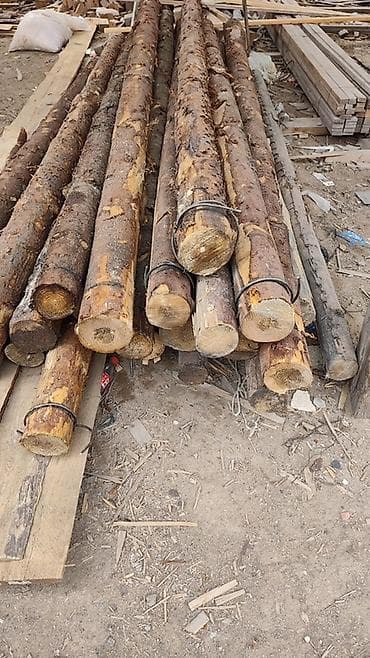 taxta ve dikt: Taxta və ağac materialları – müxtəlif ölçülərdə Məhsul təsviri: - — 3