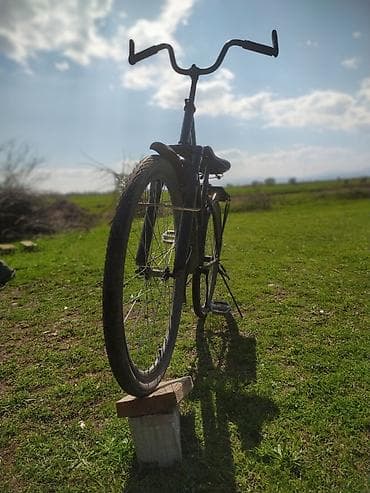 velospet: Şəhər və kənd yolları üçün klassik tək sürətli velosiped - Rəng — 3