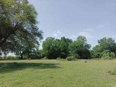 земельные участки на море: 12 sot, Biznes üçün, Mülkiyyətçi, Kupça (Çıxarış) — 3