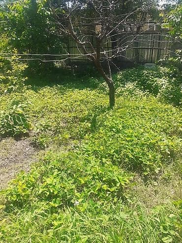 lan: 7 sot, Kupça (Çıxarış) — 4