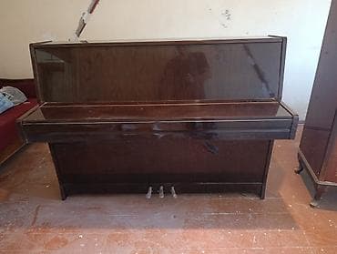 Piano, Petrof, Akustik, İşlənmiş, Ünvandan götürmə — 1