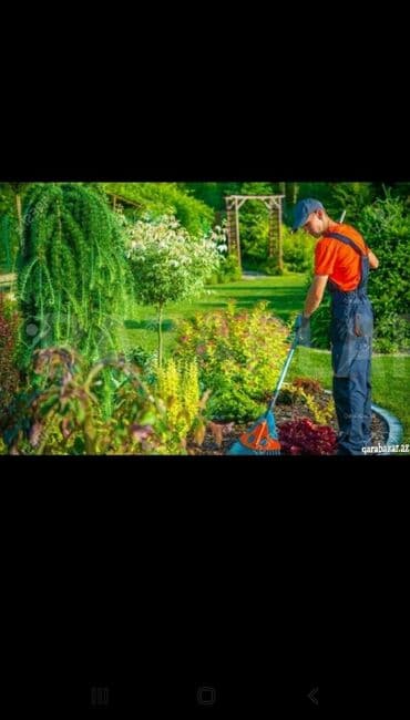 moykaya işci axtarilir: Butun bağ işləri goruruk — 1