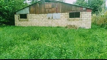 culyanda kiraye evler: Kənd təsərrüfatı — 2