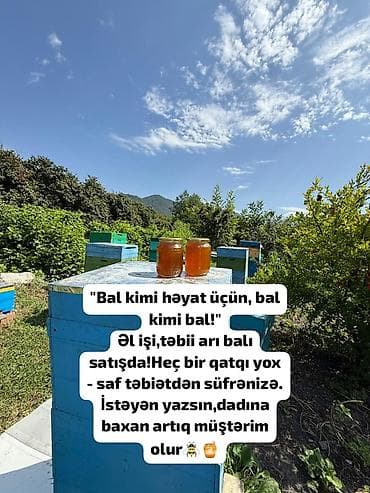 bal arısı satışı: Məhsul: Əl işi, təbii arı balı Təsvir: - Arıçılıq təsərrüfatından — 1