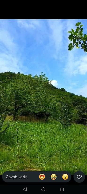 sumqayıtda torpaq: 4 sot, Tikinti, Mülkiyyətçi, Kupça (Çıxarış) — 9