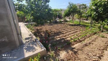 домики в набране: 7 otaqlı, 250 kv. m — 2