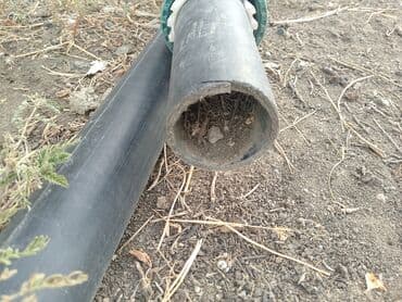 PE suvarma boruları – müxtəlif uzunluqlarda yalnız vatsapa yazın lalafo.az -da PE suvarma boruları – müxtəlif uzunluqlarda yalnız vatsapa yazın