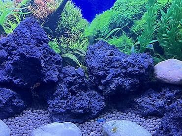 akvarum baligi: Akvaryum üçün dekorativ lavalı qayalar dəsti şekilde gördüyünüz ki — 2