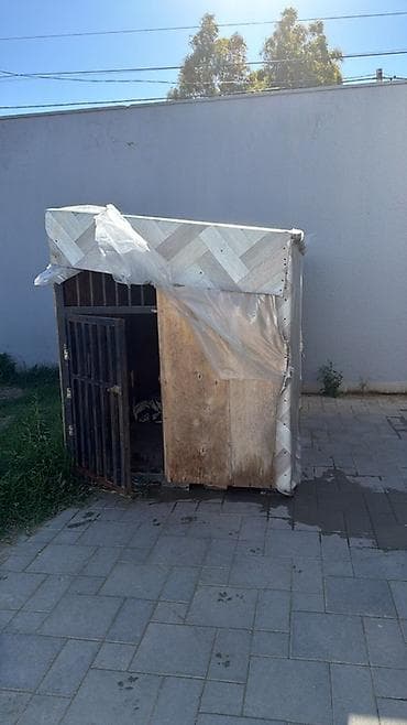 sarı dana: Açıq havada istifadə üçün it evi / qəfəs - Material: Taxta karkas — 3