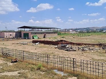 qebele: Haciqabulda ferma satılır.15 hektar.350kv.tikili.kənd tədərrüfatı — 10