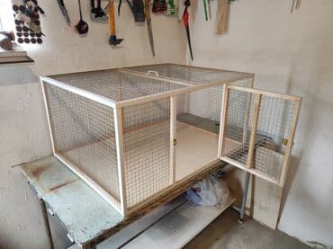 dovşa: Papuqay,dovşan,hamster,şinşila,bildirçin,cücə,xamyak,pişik,quş,tısbağa — 4