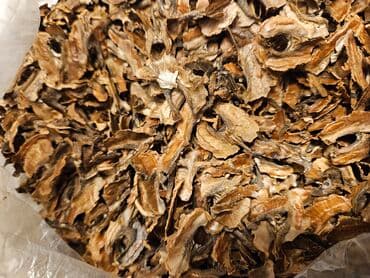 Stəkanlar: Qozun pərdəsi — 1