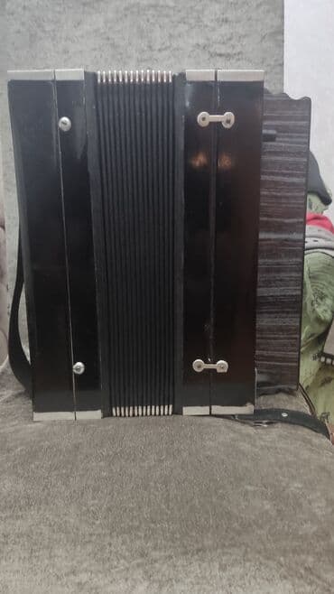 аккордеон уйронуу бишкек: Akustik Akkordeon — 2