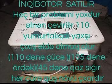 İstehsal avadanlığı: 100 yumurta, Bütün növ quşlaq üçün — 1