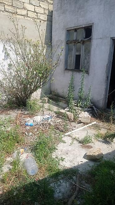 zigda heyet evleri: 1 otaqlı, 25 kv. m, Kredit yoxdur, Təmirsiz — 3