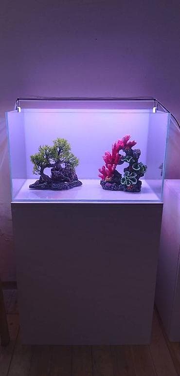 akvarium yumru: Akvarium-şkaf, 64 l, Ödənişli çatdırılma — 1