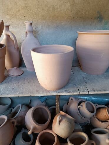 Digər bitkilər: Salam Muxtelif forma olcuye kimi dibcekler movcuddur . Ozel sifarisde — 3