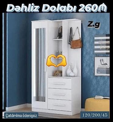 dəhliz şkafı: Dehliz mebeli — 1