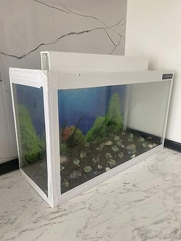 Akvariumlar: Dördbucaq akvarium, Boş, 30 l, Ödənişli çatdırılma, Ünvandan götürmə — 3