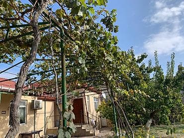 ev: SAHIBINDEN 🏡 ALBALILIQDA MÖHTƏŞƏM BAĞ EVİ – HƏM YAŞAYIŞ, HƏM DƏ — 2