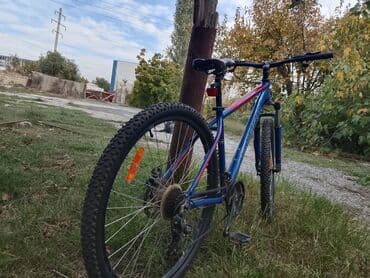 велотренажер купить в баку: Б/у Горный велосипед Stark, 29", скоростей: 7, Самовывоз — 2