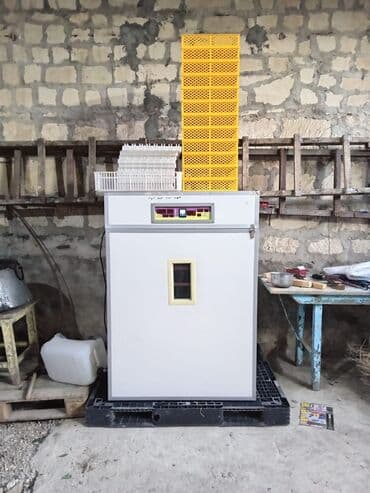 Avtoservis avadanlıqları: 1100 yumurta, Çin, Bütün növ quşlaq üçün — 2