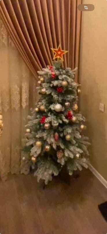 купить живую елку в баку: 50azn — 1