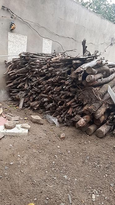 Bağ evi və bağ üçün hərşey: Odun satilir. 1 Kamaz. 40 manatdır — 1