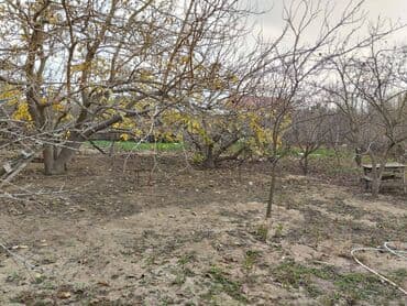 dübəndi torpaq: 11 sot, Tikinti, Makler, Kupça (Çıxarış) — 1