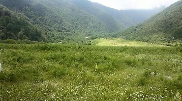 mingecevirde heyet evleri: Kənd təsərrüfatı — 1