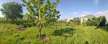 mingəçevir obyekt: Mingəçevir şəhəri. Günəşli qəsəbəsi 16-cı küçədə yola, avtobusların — 1