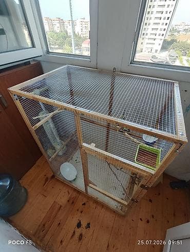 quş: Eni 54 sm
uzunu 84 sm
hundurluyu 110 sm
barter də olar — 2