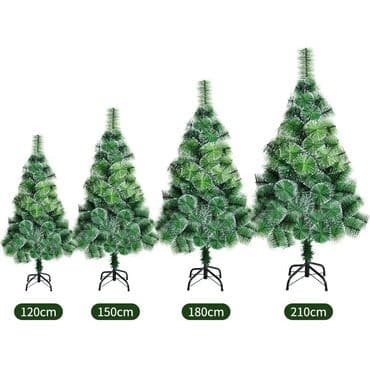 yolka ağacları: Yolka — 1