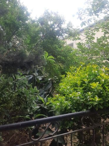 hazir ipotekada olan evler gence: Binəqədi qəs. 3 otaqlı, 120 kv. m, Kredit yoxdur, Orta təmir — 16