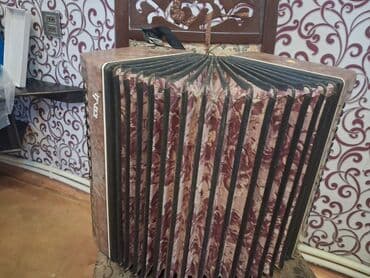 akkardion: Akustik Akkordeon — 4