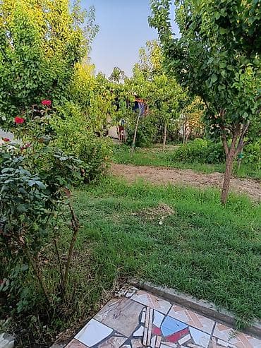 mal dili bitkisi: Avtozavod qəsəbəsi tərəfdə, Əfrasiyab Bədəlbəyli küçəsində 5 sot — 10