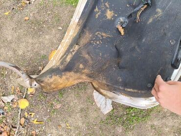 w210 radiator barmaqlığı: Məhsul: Avtomobilin arxa baqaj qapağı (metal) – bej/qızılı rəng — 5